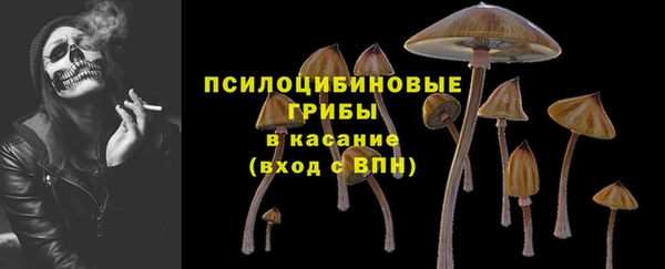 jwh Лиски