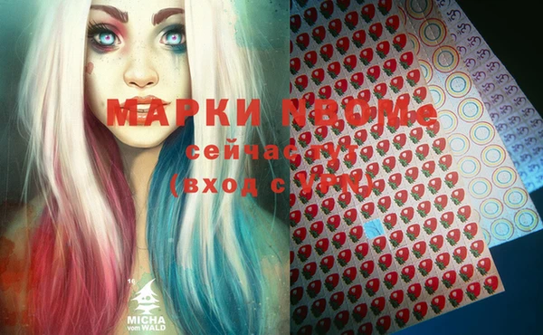 метадон Алексин
